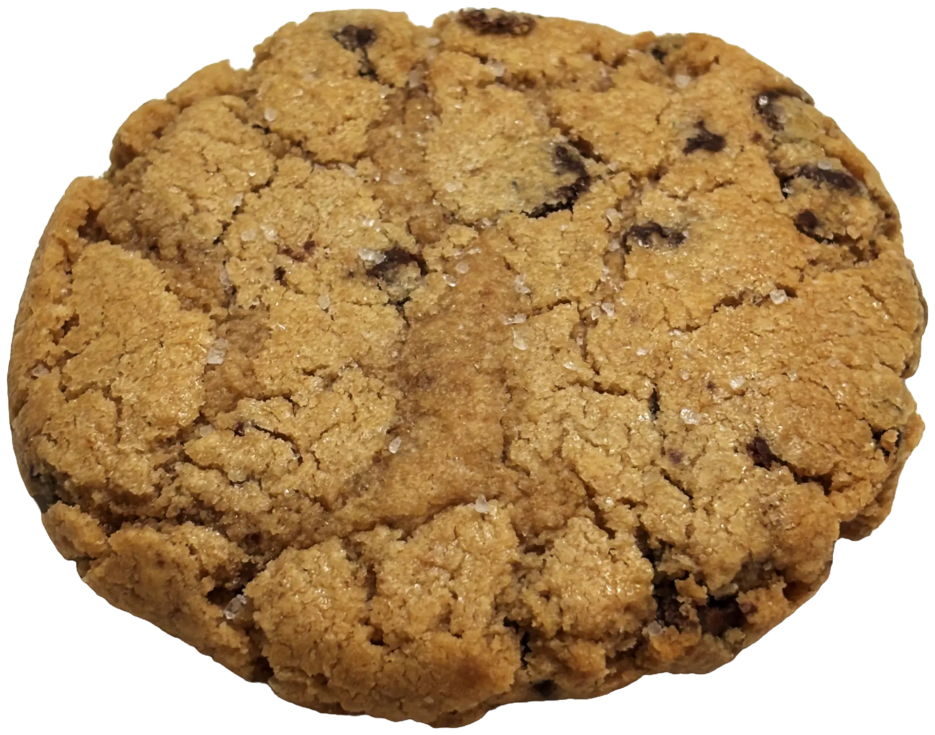 Peanut Butter Chocolate Chip cookie, photo 2 of 2