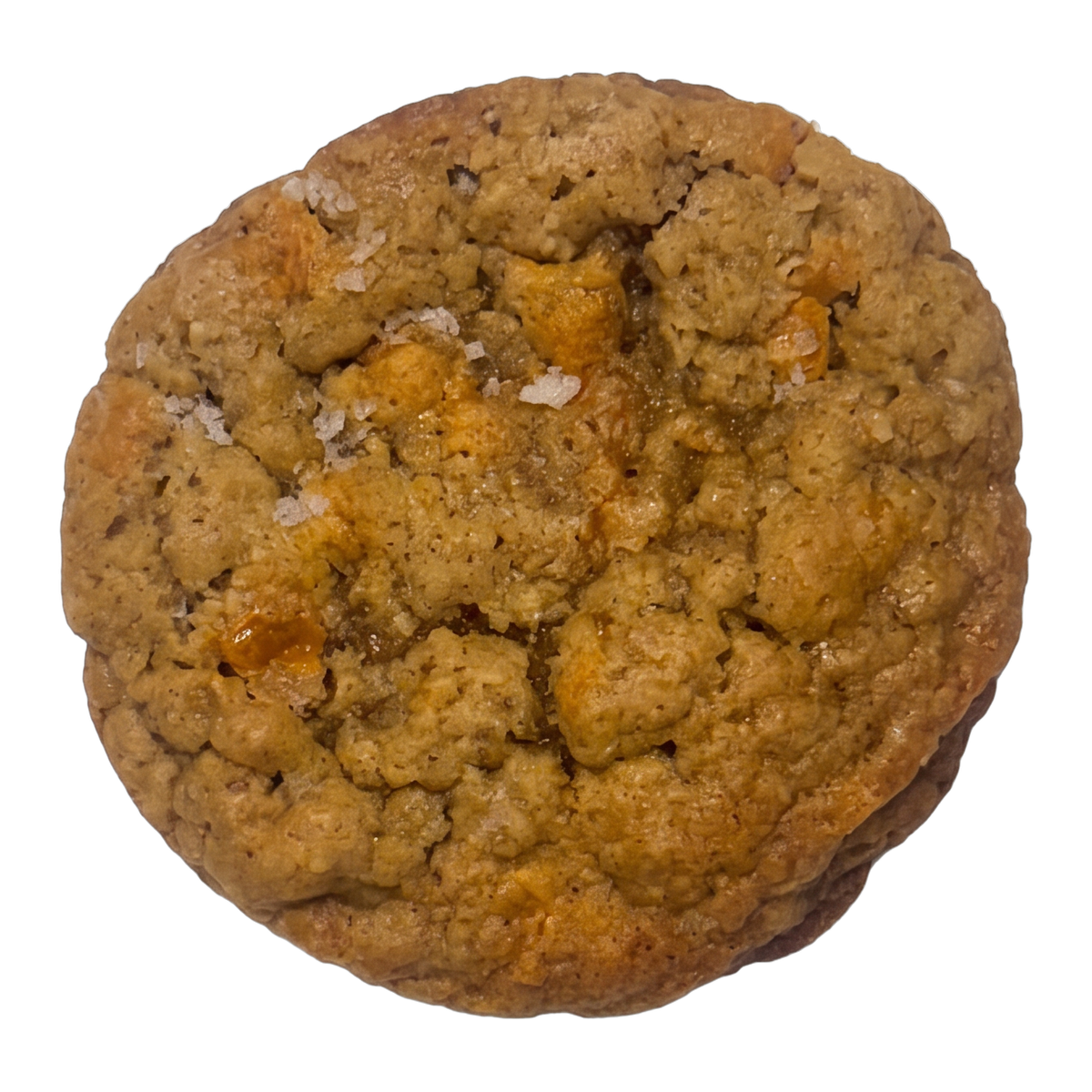Salted Oatmeal Butterscotch cookie
